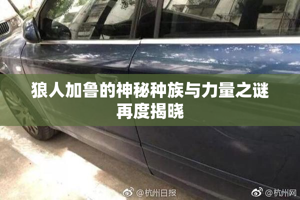 狼人加鲁的神秘种族与力量之谜再度揭晓