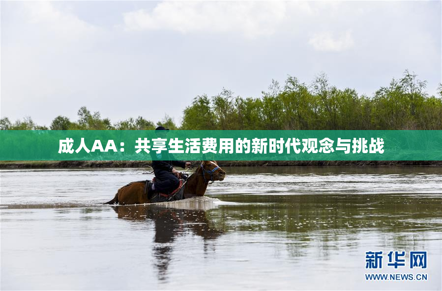 成人AA：共享生活费用的新时代观念与挑战