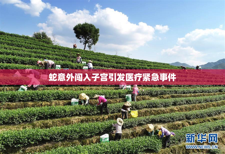 蛇意外闯入子宫引发医疗紧急事件