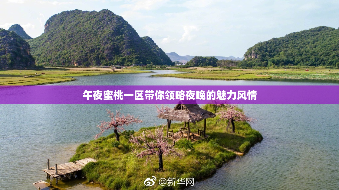 午夜蜜桃一区带你领略夜晚的魅力风情