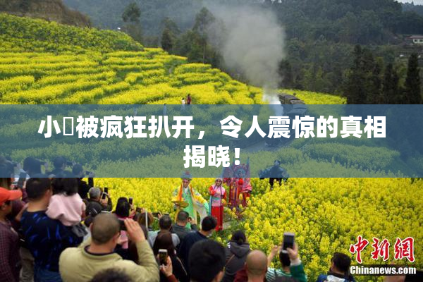 小泬被疯狂扒开，令人震惊的真相揭晓！