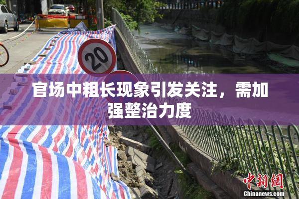 官场中粗长现象引发关注，需加强整治力度