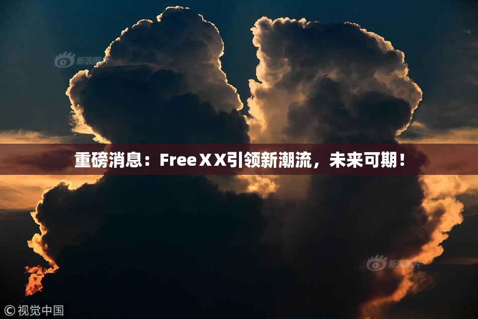重磅消息：FreeⅩX引领新潮流，未来可期！