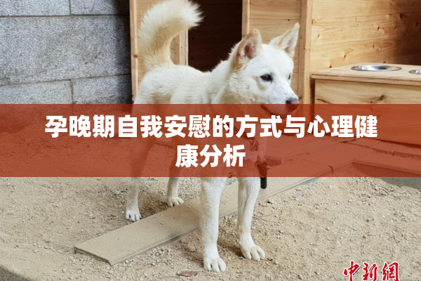 孕晚期自我安慰的方式与心理健康分析