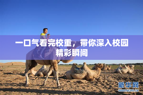 一口气看完校重，带你深入校园精彩瞬间