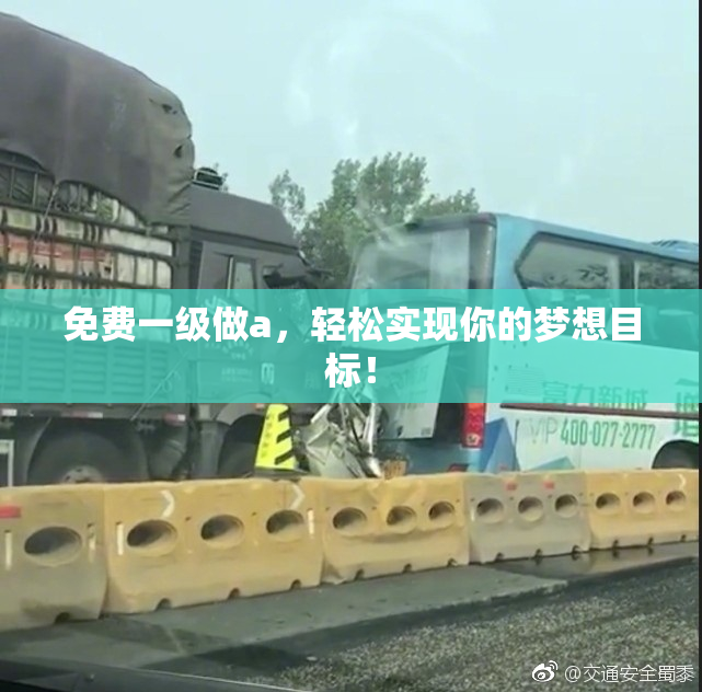 免费一级做a，轻松实现你的梦想目标！