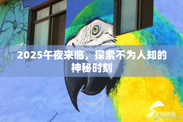 2025午夜来临，探索不为人知的神秘时刻