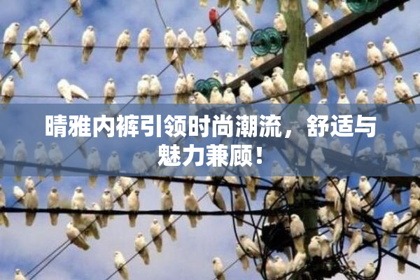 晴雅内裤引领时尚潮流，舒适与魅力兼顾！