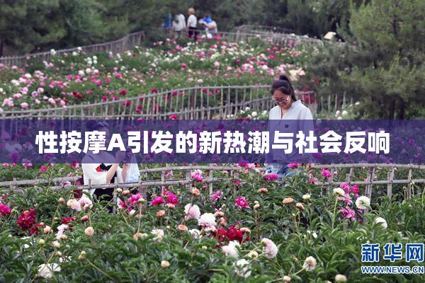 性按摩A引发的新热潮与社会反响