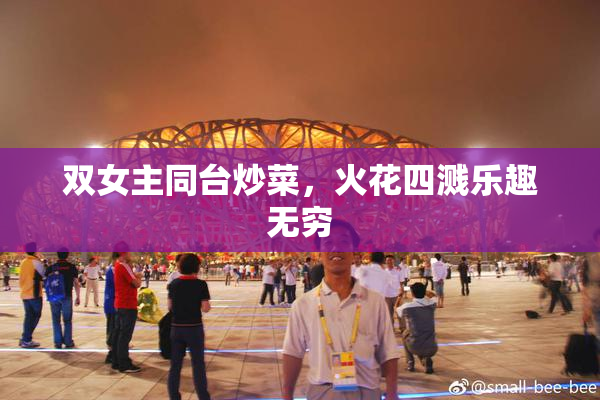 双女主同台炒菜，火花四溅乐趣无穷