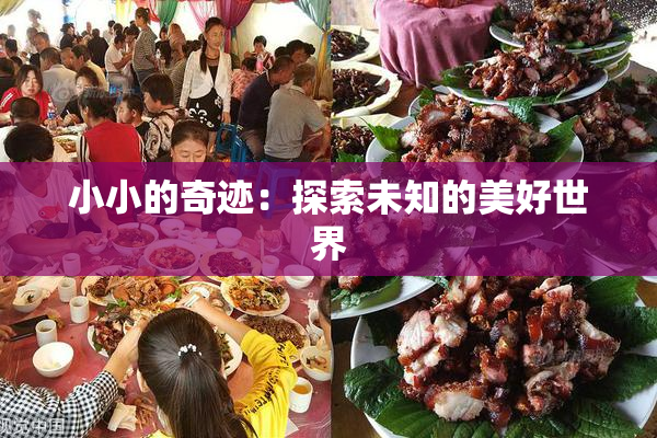 小小的奇迹：探索未知的美好世界