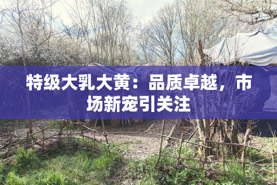 特级大乳大黄：品质卓越，市场新宠引关注