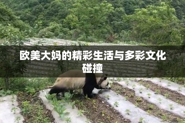 欧美大妈的精彩生活与多彩文化碰撞