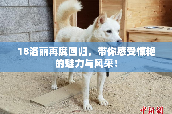18洛丽再度回归，带你感受惊艳的魅力与风采！