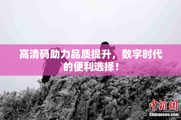 高清码助力品质提升，数字时代的便利选择！