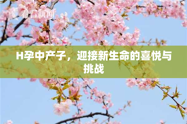 H孕中产子，迎接新生命的喜悦与挑战