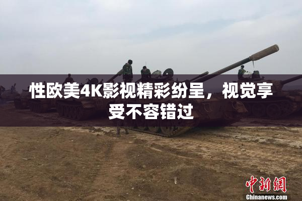 性欧美4K影视精彩纷呈，视觉享受不容错过
