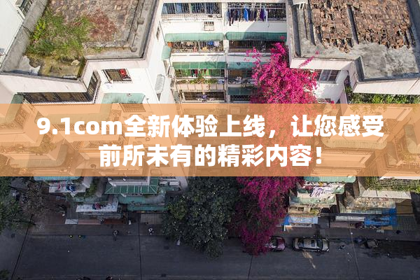 9.1com全新体验上线，让您感受前所未有的精彩内容！