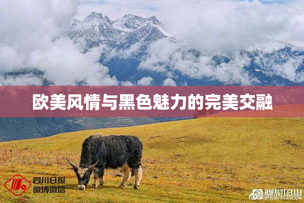欧美风情与黑色魅力的完美交融