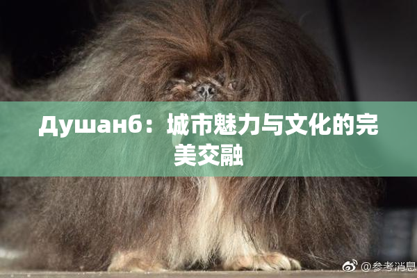 Душанб：城市魅力与文化的完美交融