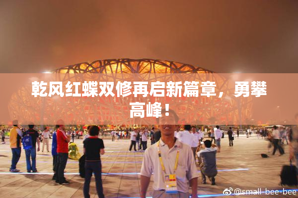乾风红蝶双修再启新篇章，勇攀高峰！