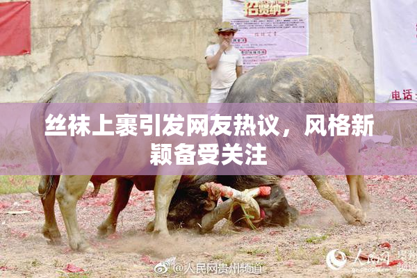 丝袜上裹引发网友热议，风格新颖备受关注