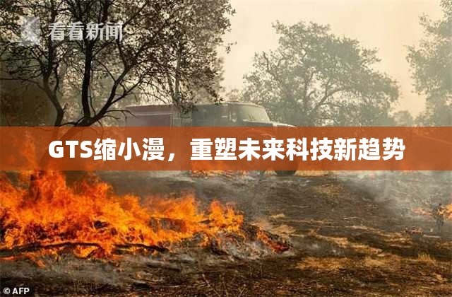GTS缩小漫，重塑未来科技新趋势