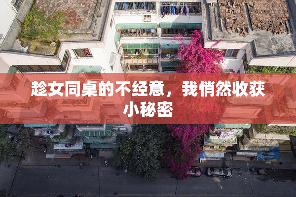 趁女同桌的不经意，我悄然收获小秘密
