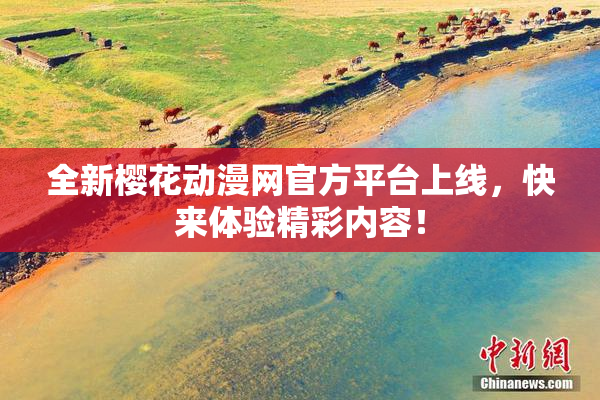 全新樱花动漫网官方平台上线，快来体验精彩内容！