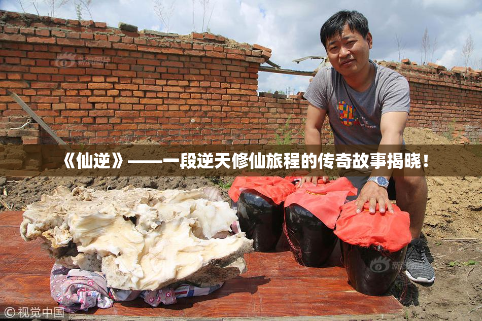《仙逆》——一段逆天修仙旅程的传奇故事揭晓！