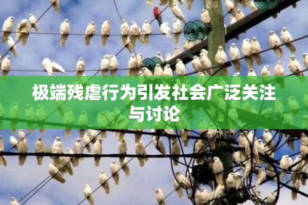 极端残虐行为引发社会广泛关注与讨论