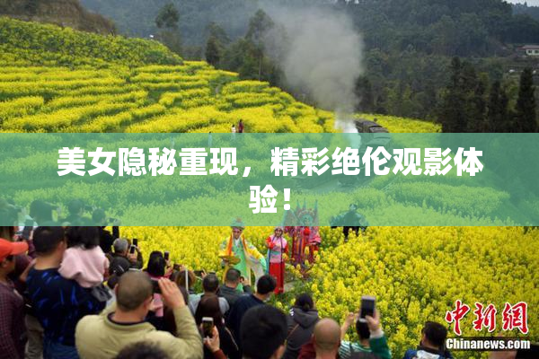 美女隐秘重现，精彩绝伦观影体验！