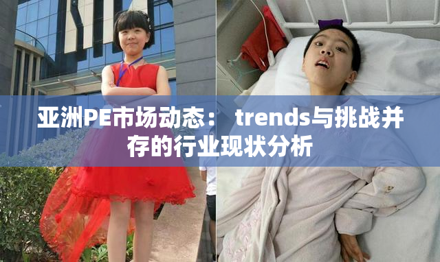 亚洲PE市场动态： trends与挑战并存的行业现状分析