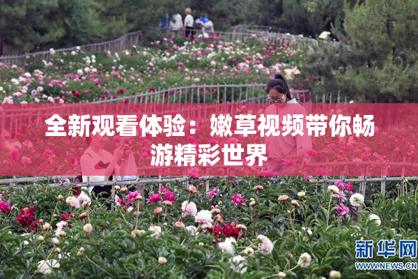 全新观看体验：嫩草视频带你畅游精彩世界