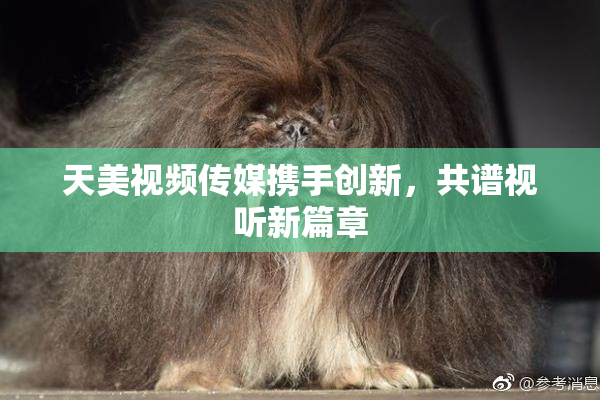 天美视频传媒携手创新，共谱视听新篇章
