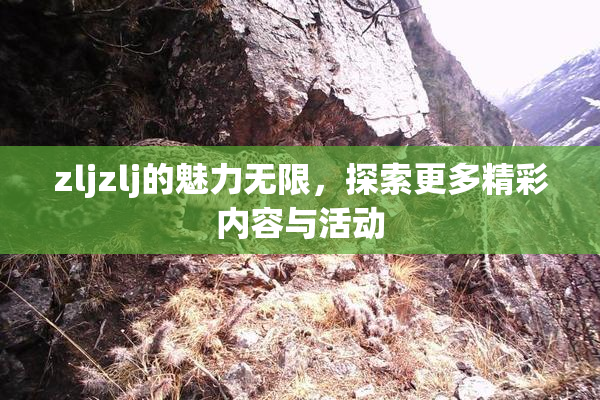 zljzlj的魅力无限，探索更多精彩内容与活动