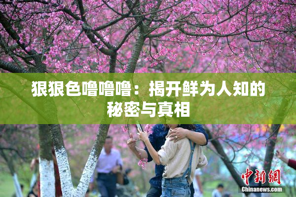 狠狠色噜噜噜：揭开鲜为人知的秘密与真相