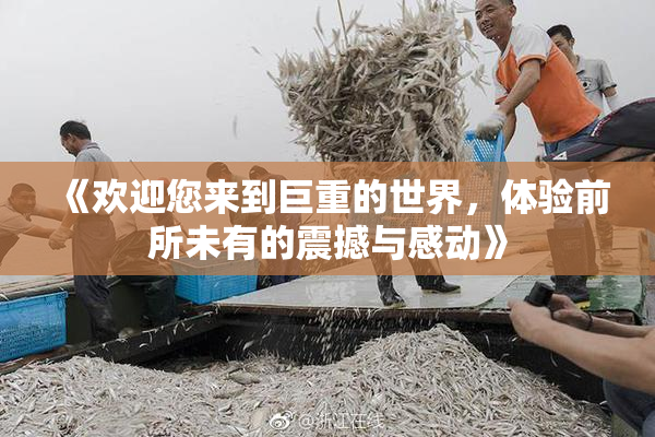 《欢迎您来到巨重的世界，体验前所未有的震撼与感动》