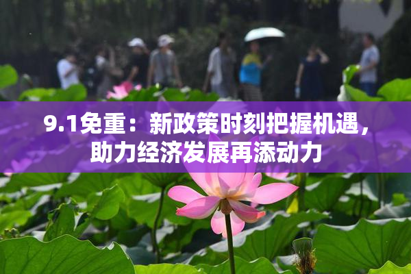 9.1免重：新政策时刻把握机遇，助力经济发展再添动力