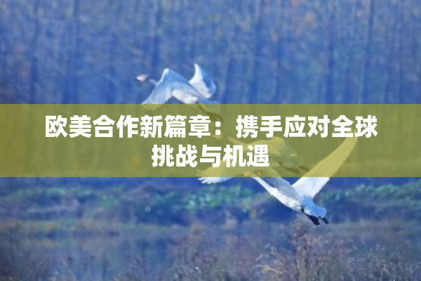 欧美合作新篇章：携手应对全球挑战与机遇