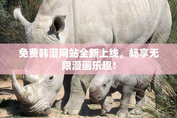 免费韩漫网站全新上线，畅享无限漫画乐趣！
