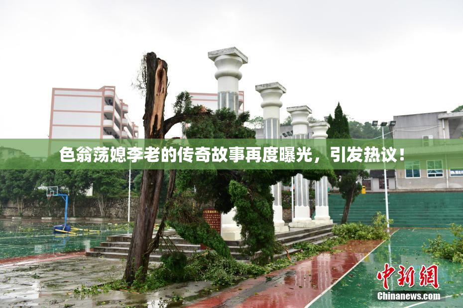 色翁荡媳李老的传奇故事再度曝光，引发热议！