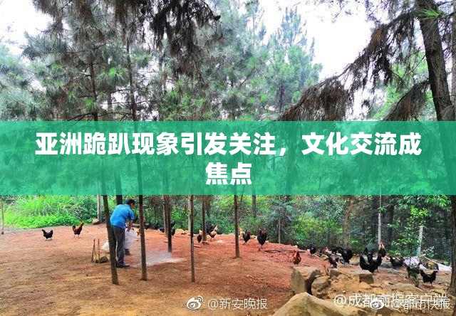 亚洲跪趴现象引发关注，文化交流成焦点