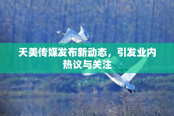 天美传媒发布新动态，引发业内热议与关注