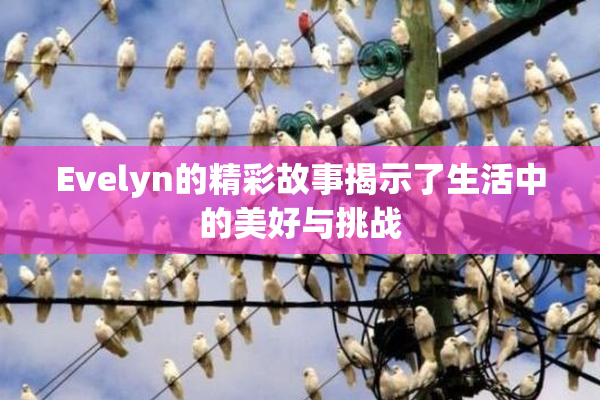 Evelyn的精彩故事揭示了生活中的美好与挑战