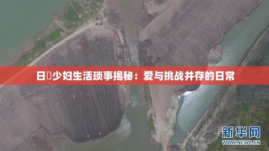 日夲少妇生活琐事揭秘：爱与挑战并存的日常