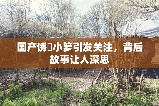 国产诱奷小箩引发关注，背后故事让人深思