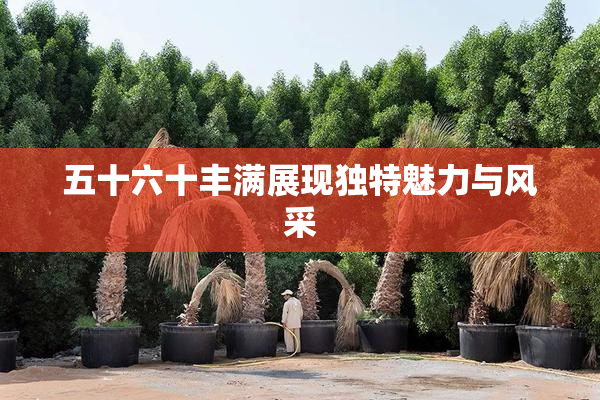 五十六十丰满展现独特魅力与风采