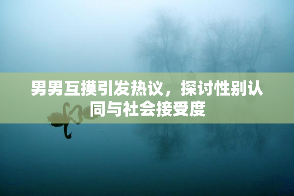 男男互摸引发热议，探讨性别认同与社会接受度