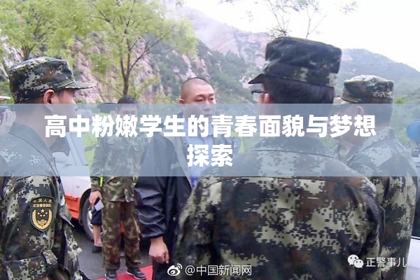高中粉嫩学生的青春面貌与梦想探索